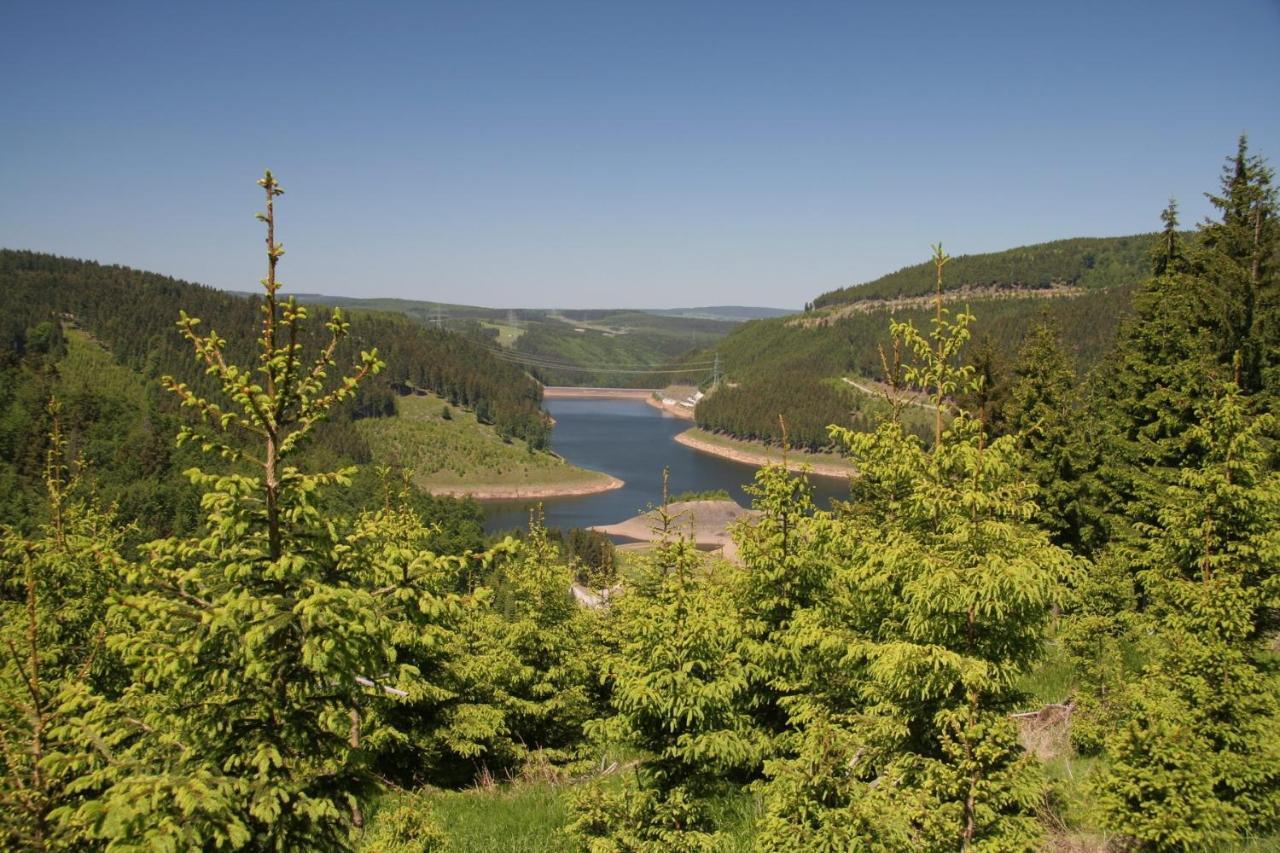 Ferienhaus Waldblick Siegmundsburg المظهر الخارجي الصورة